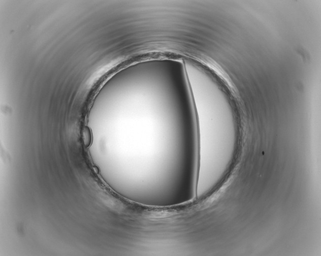 X0000091330826200708101000