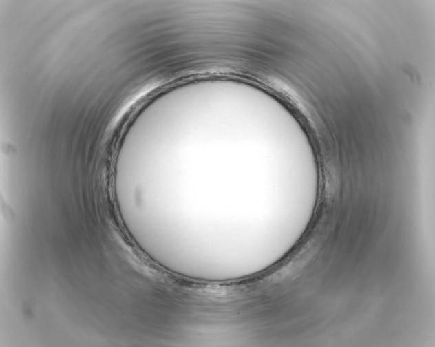 X0000091330827200708101000