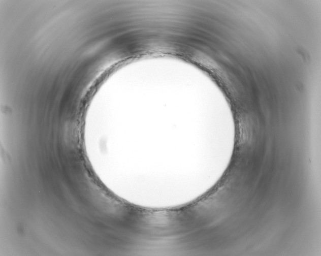 X0000091330828200708101000