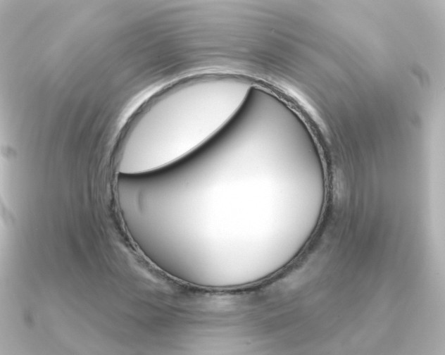 X0000091330829200708101000