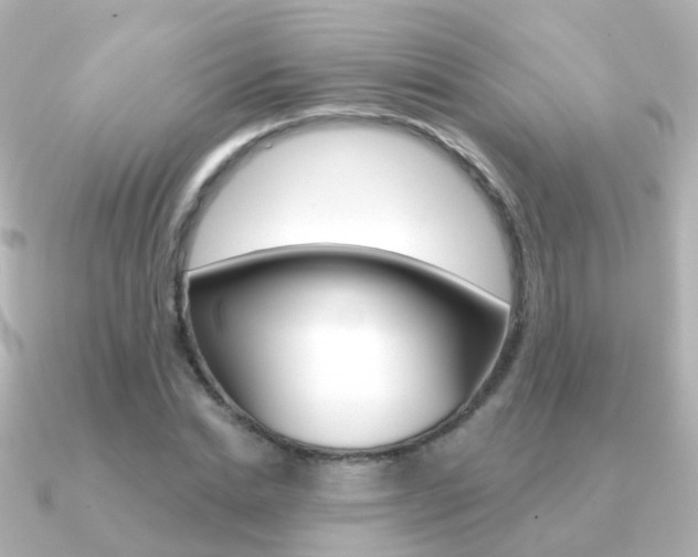 X0000091330830200708101000