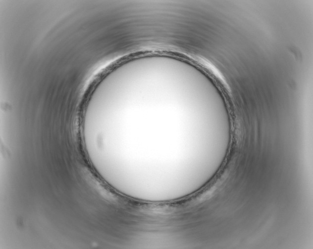 X0000091330831200708101000