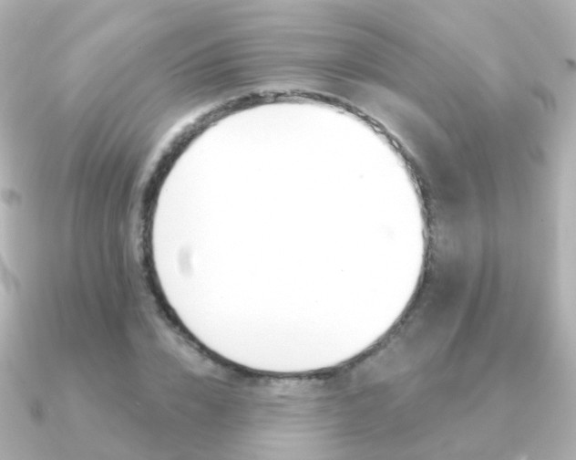 X0000091330832200708101000