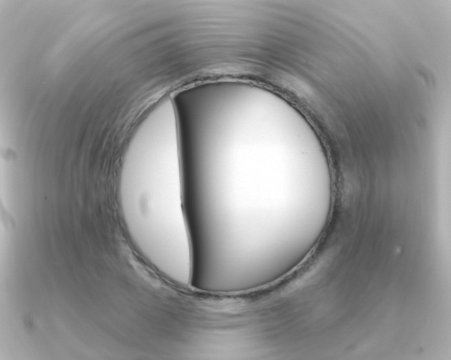 X0000091330833200708101000