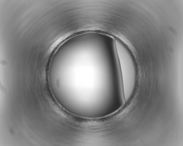 X0000091330834200708101000