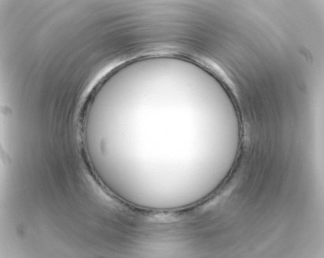 X0000091330835200708101000