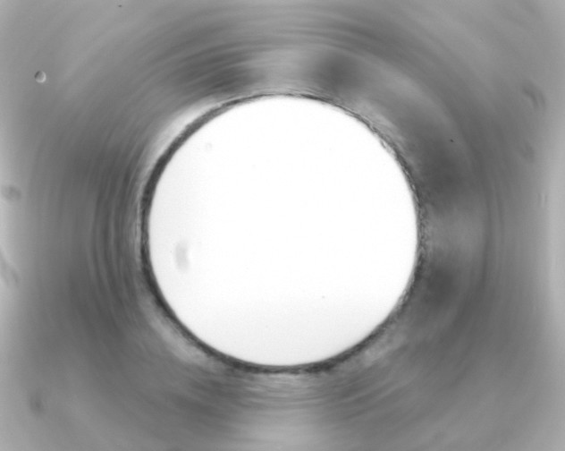 X0000091330836200708101000