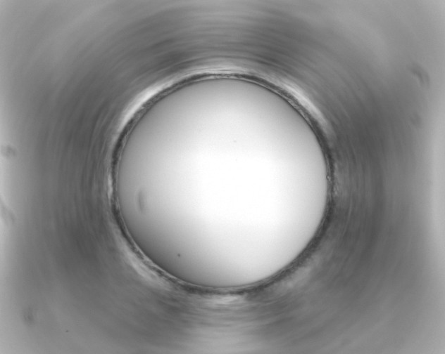 X0000091330837200708101000