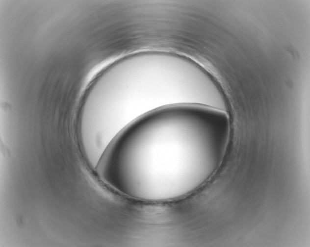 X0000091330838200708101000