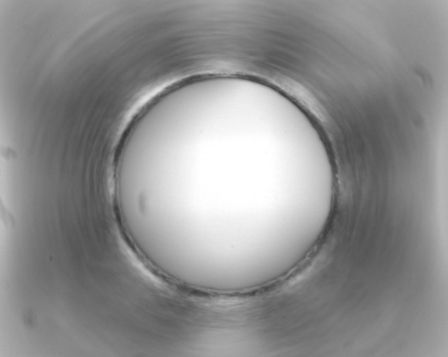 X0000091330839200708101000