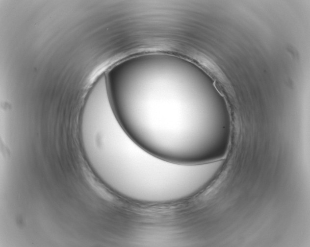X0000091330842200708101000