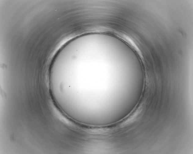 X0000091330843200708101000