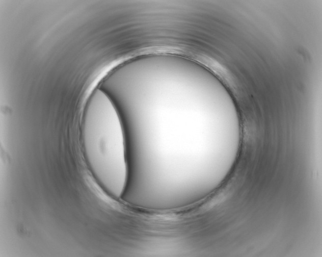 X0000091330844200708101000