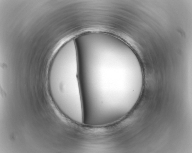 X0000091330845200708101000