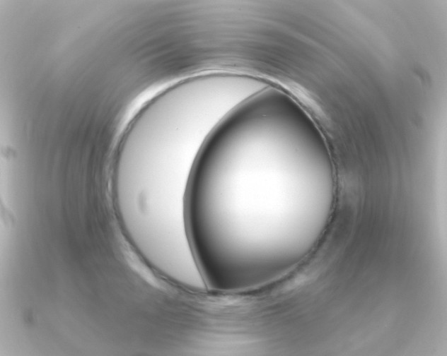 X0000091330846200708101000