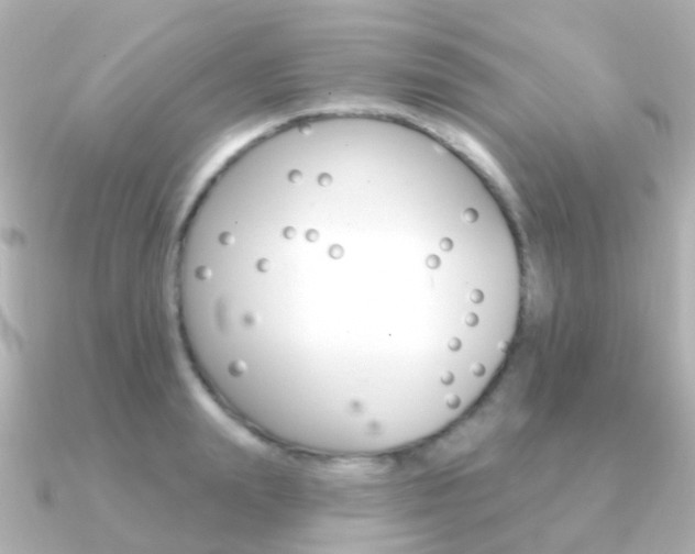 X0000091330847200708101000