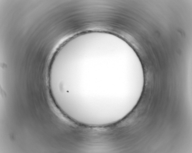 X0000091330848200708101000