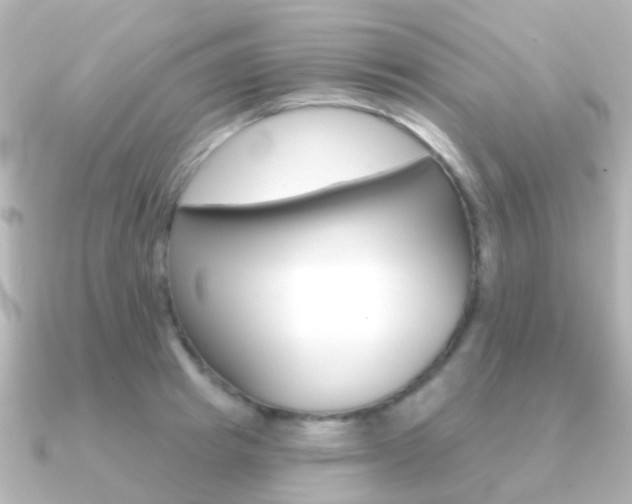 X0000091330849200708101000