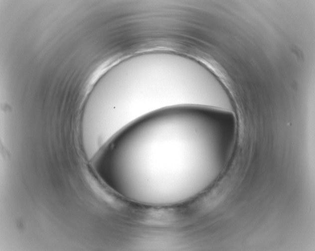 X0000091330850200708101000