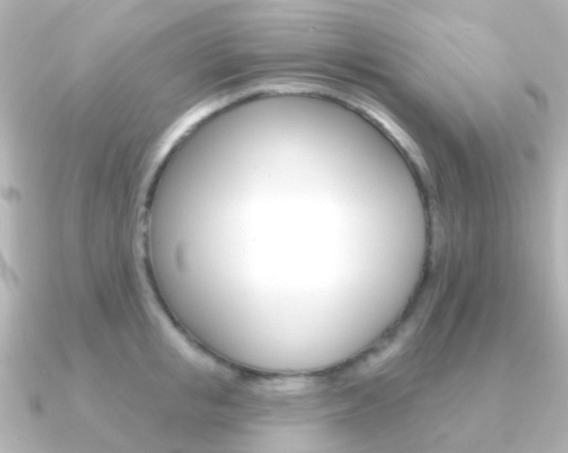 X0000091330853200708101000