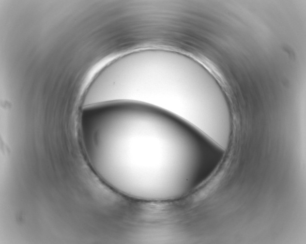 X0000091330854200708101000
