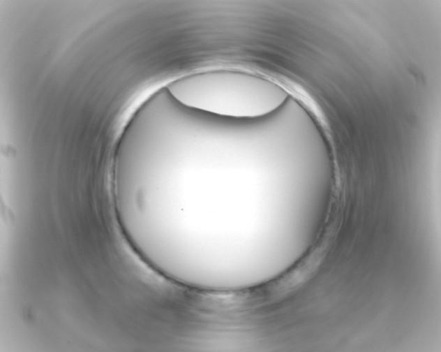 X0000091330855200708101000