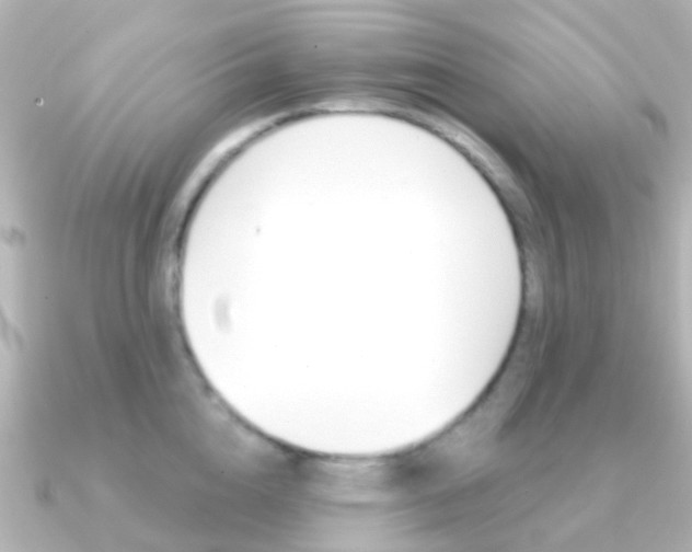 X0000091330856200708101000