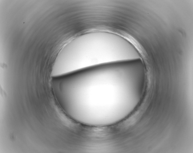 X0000091330857200708101000