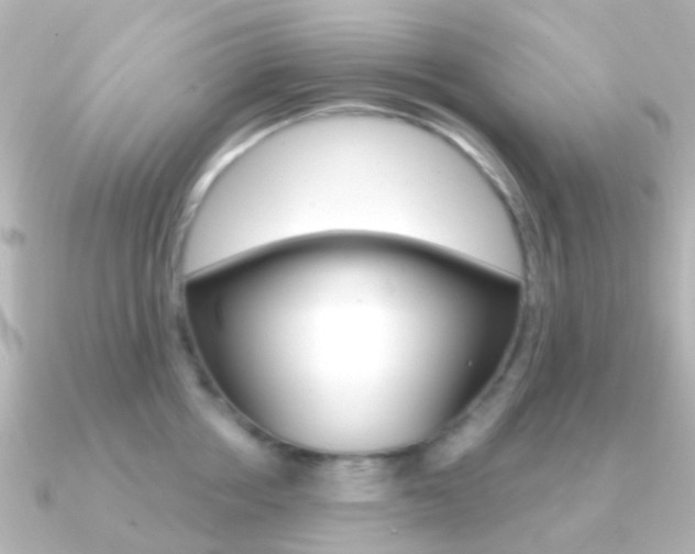 X0000091330858200708101000