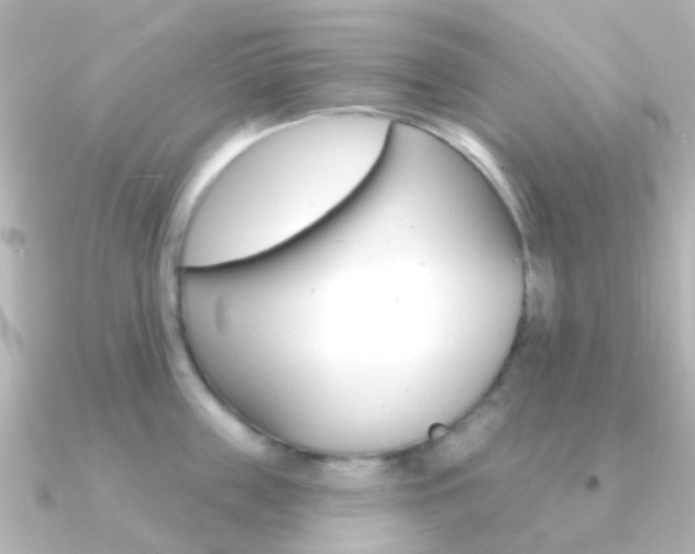 X0000091330859200708101000