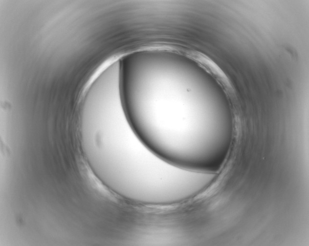 X0000091330860200708101000