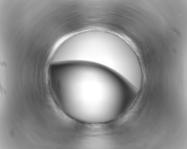 X0000091330862200708101000