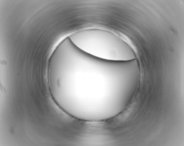 X0000091330863200708101000