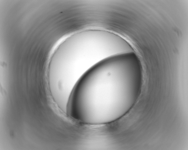 X0000091330864200708101000