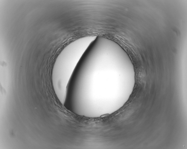 X0000091330865200708101000