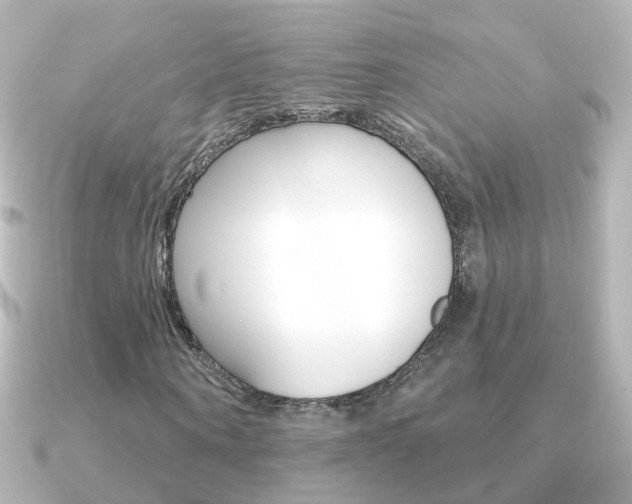 X0000091330866200708101000