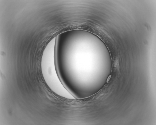 X0000091330868200708101000
