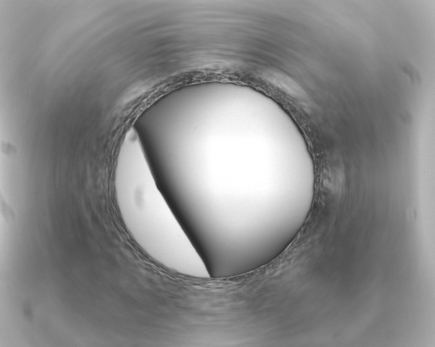 X0000091330869200708101000