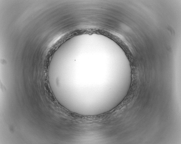 X0000091330871200708101000