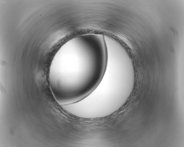 X0000091330872200708101000