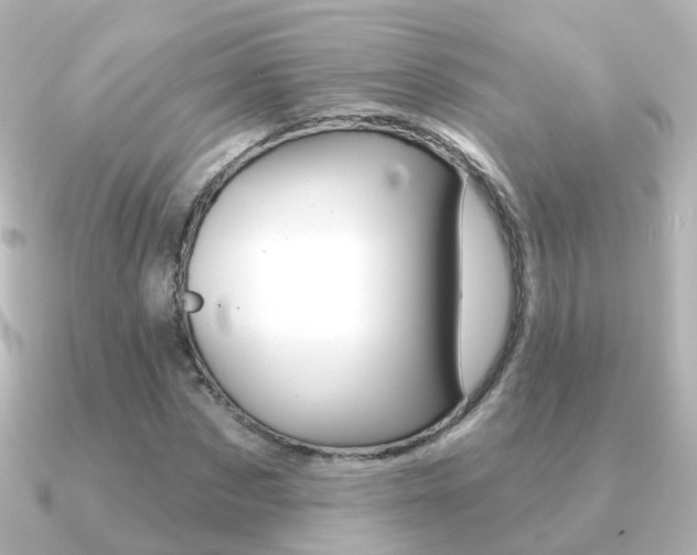 X0000091330873200708101000
