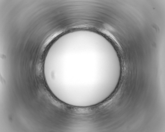 X0000091330874200708101000