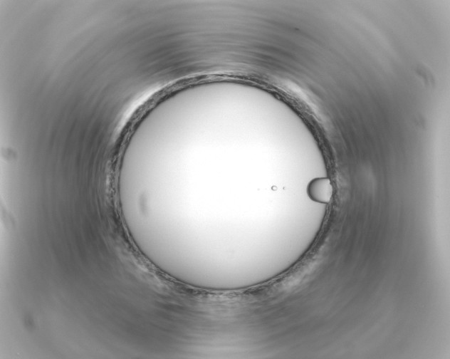 X0000091330875200708101000
