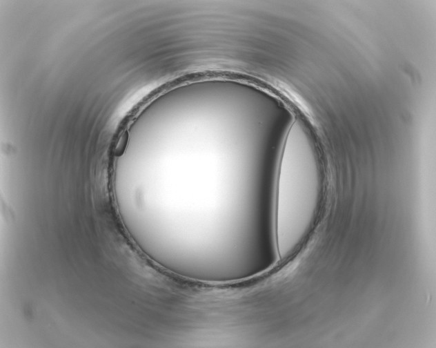 X0000091330877200708101000