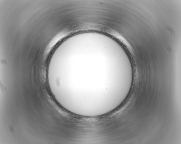 X0000091330878200708101000