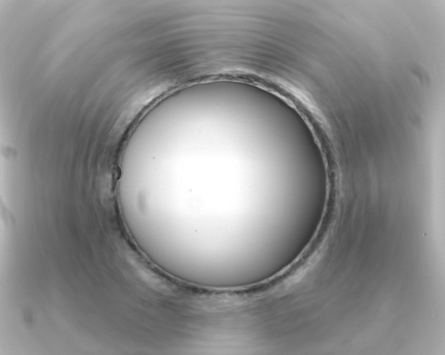 X0000091330881200708101000