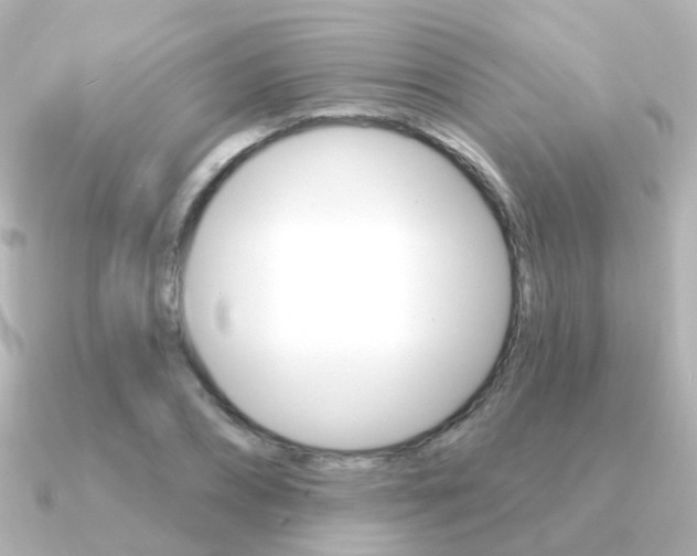 X0000091330882200708101000