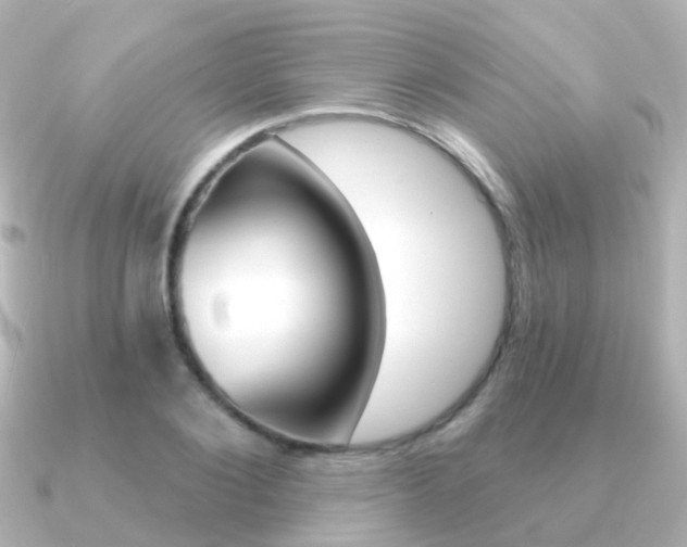 X0000091330884200708101000