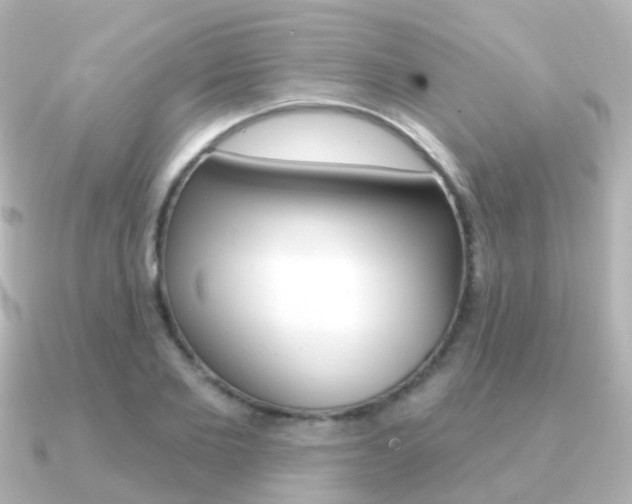 X0000091330885200708101000