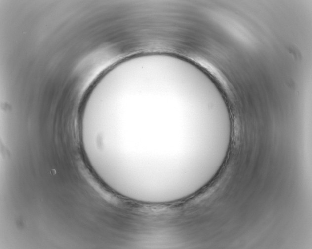 X0000091330886200708101000